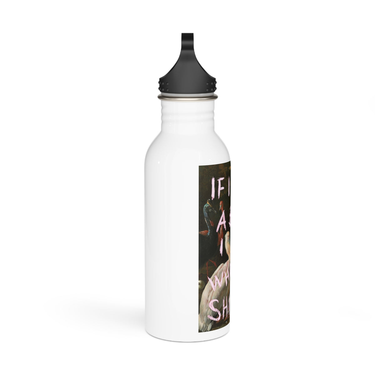 Water Bottle — "If I Was a Bird I Know Who I'd Shit On" Stainless Steel Travel Bottle