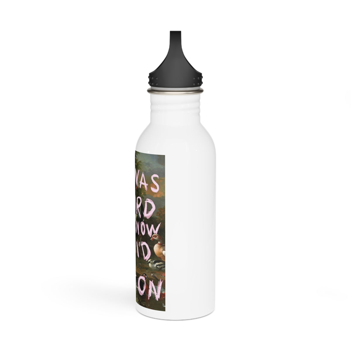 Water Bottle — "If I Was a Bird I Know Who I'd Shit On" Stainless Steel Travel Bottle